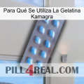 Para Qué Se Utiliza La Gelatina Kamagra viagra3